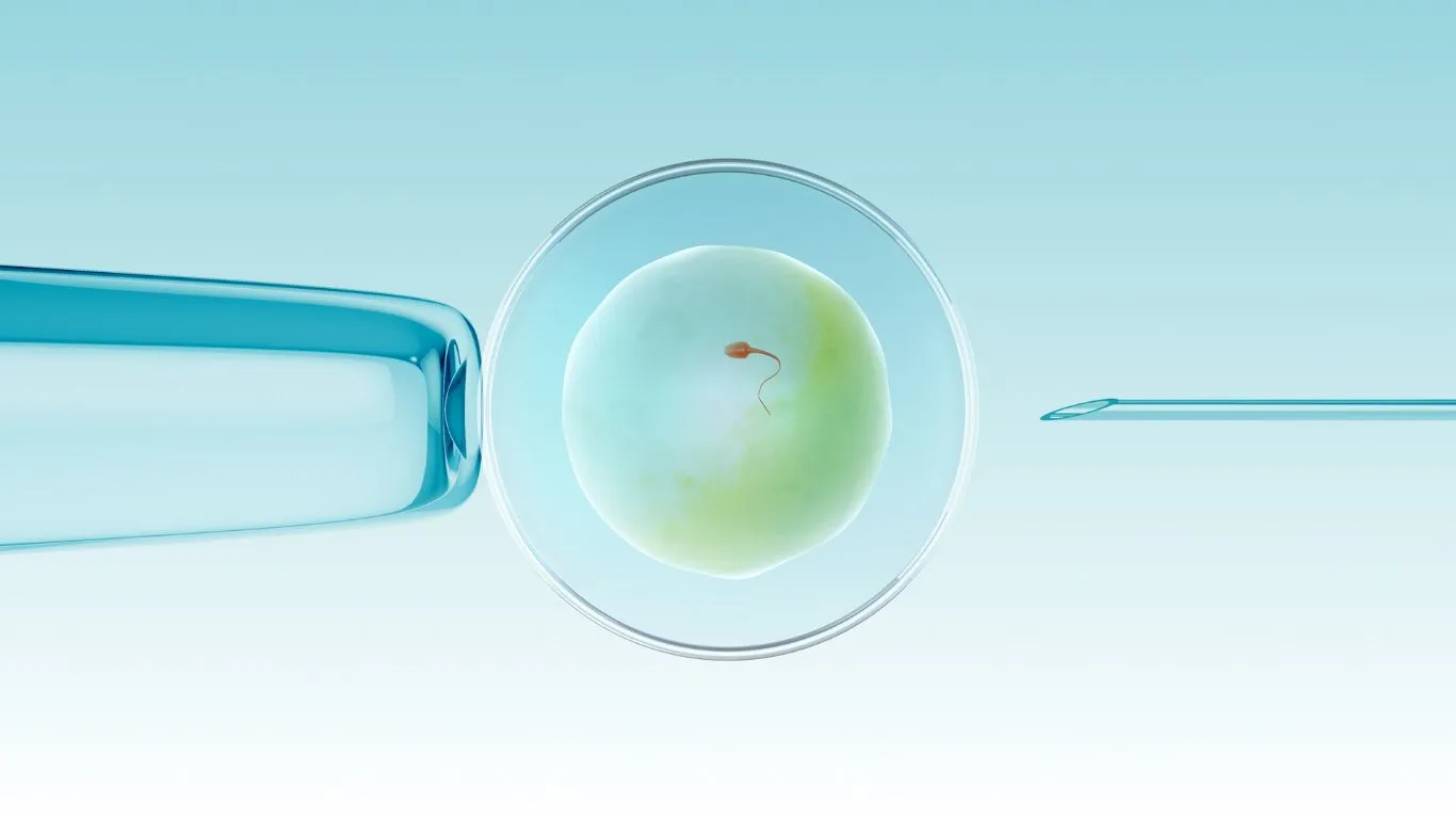 Ejemplificación de embarazo in vitro