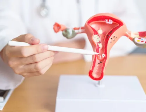 Estimulación ovárica, un paso clave en tu camino a la fertilidad