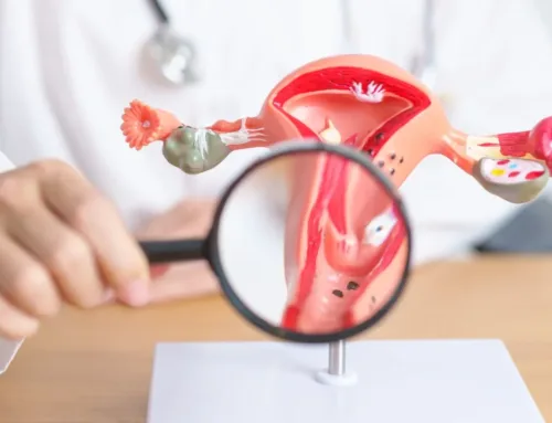 Estrógenos e infertilidad, comprendiendo su papel en la salud reproductiva y el proceso para concebir.